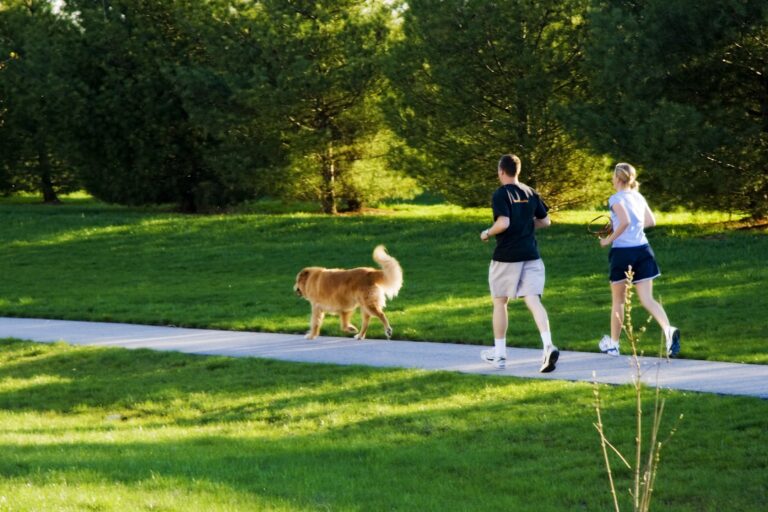 A man and woman running in a park with their dog